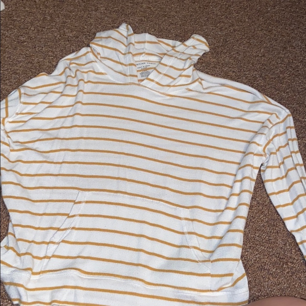 American Eagle Hooded Sweatshirt